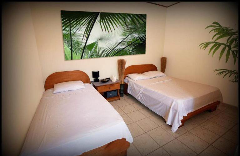 Hotel Blue Palm Jacó Екстериор снимка